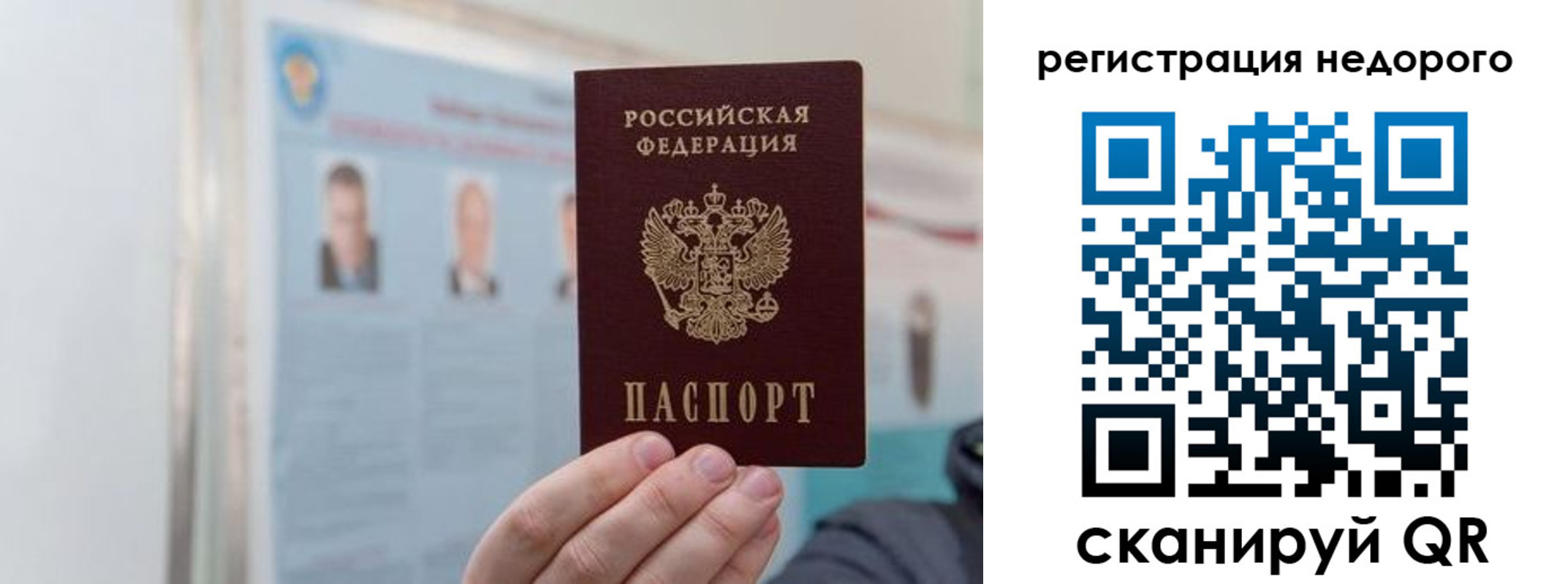 прописка 2025 в Электрогорске
